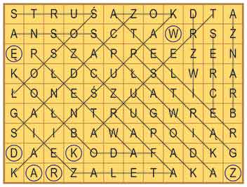 R_zg_42_33_wykr
