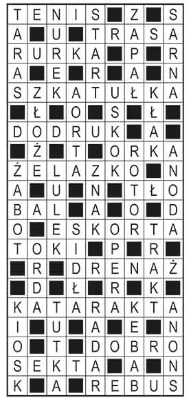 R_im_44_s19_szyfrpion