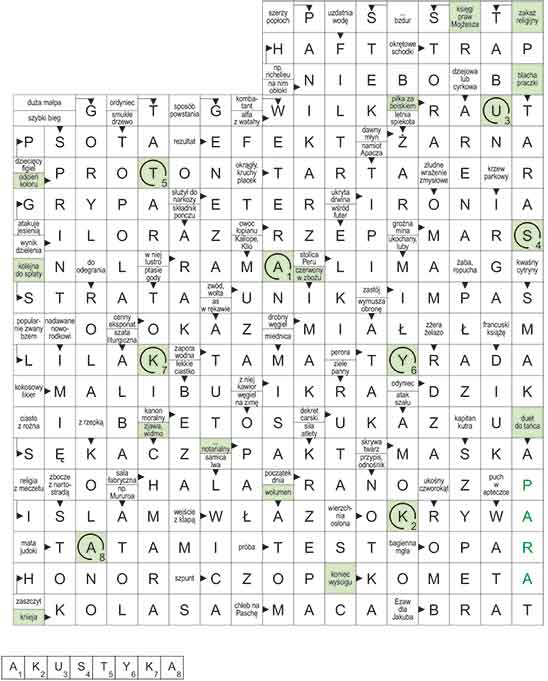 R_CC_44_33_pan_S┼üOWO