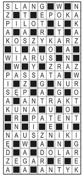 R_im_45_s19_szyfrpion