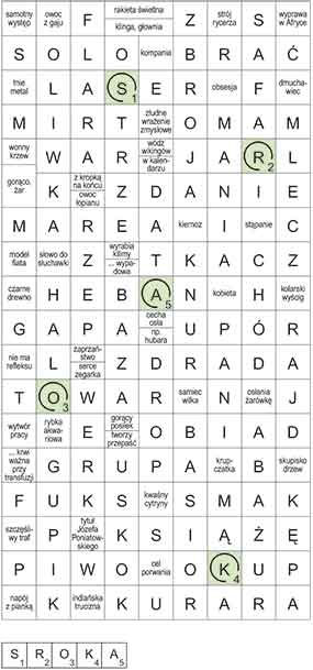 R_CC_45_05_bezstrza┼éek