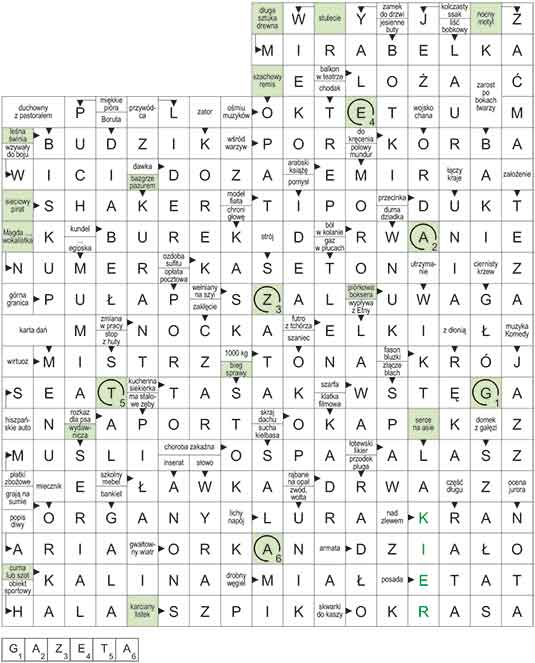 R_CC_45_33_S┼üOWO