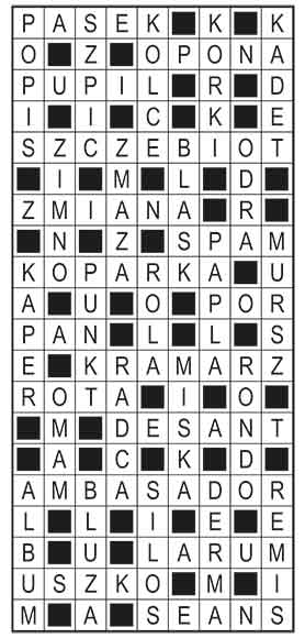 R_im_46_s19_szyfrpion