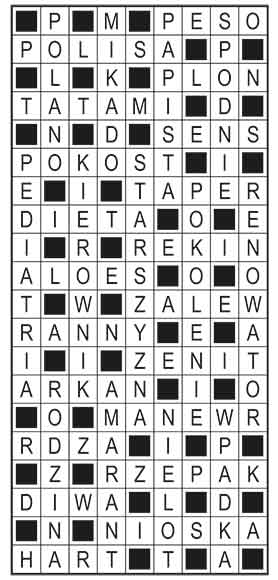 R_im_46_s27_szyfrpion