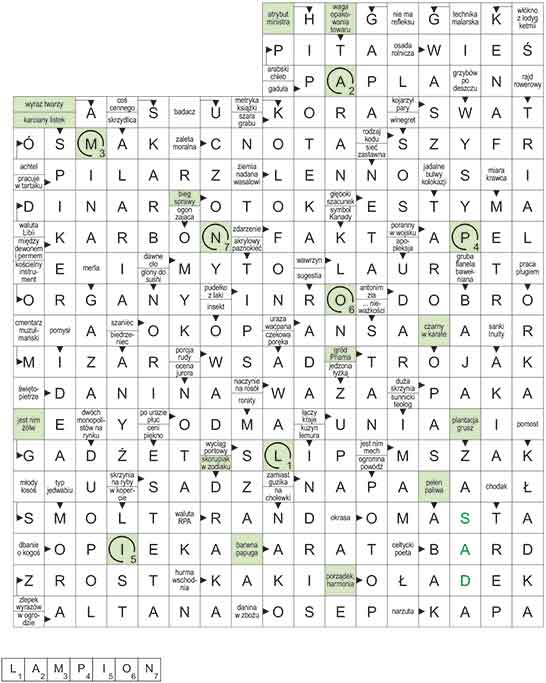 R_CC_46_33_pan_S┼üOWO