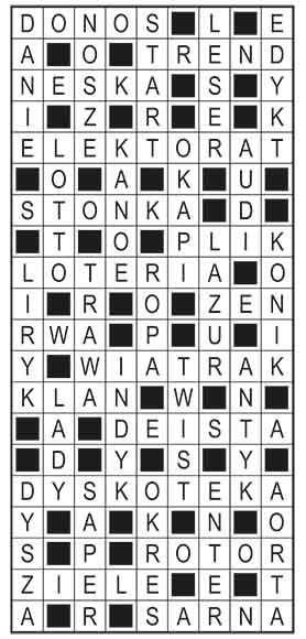 R_im_47_s19_szyfrpion