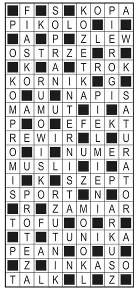 R_im_47_s27_szyfrpion