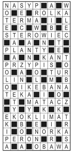 R_im_48_s19_szyfrpion