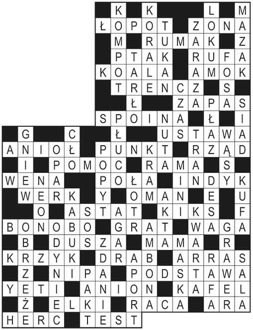 R_im_49_s18_szyfropanorama