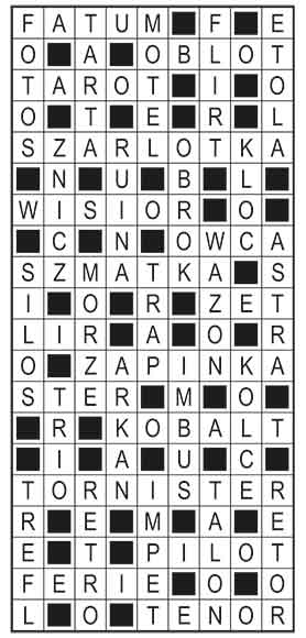 R_im_49_s19_szyfrpion