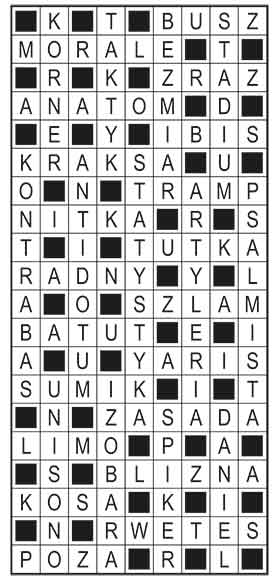 R_im_49_s27_szyfrpion