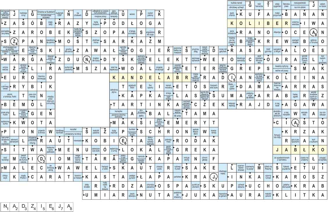 R_re_49_2425_panorama