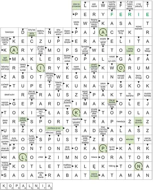 R_CC_49_33_S┼üOWO