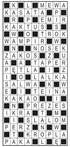 R_im_50_s27_szyfrpion