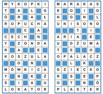 R_sil_50_26_uk┼éad