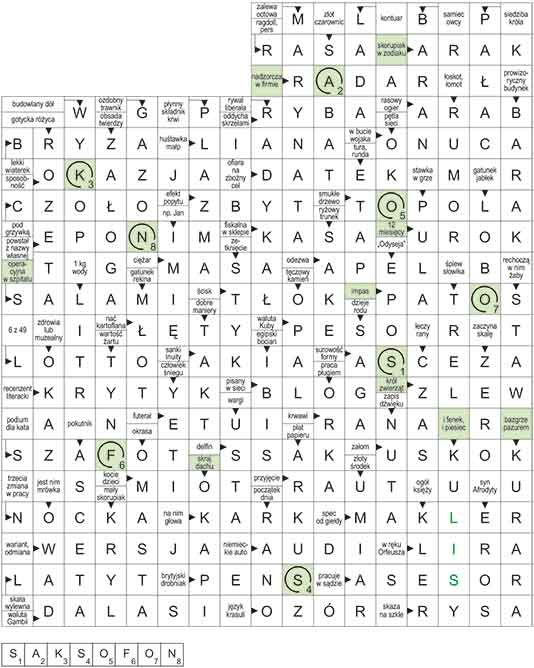 R_CC_50_33_pan_S┼üOWO