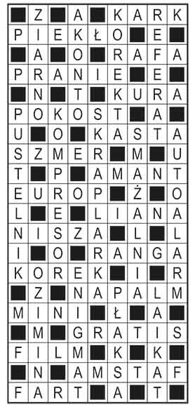 R_im_51_s29_szyfrpion