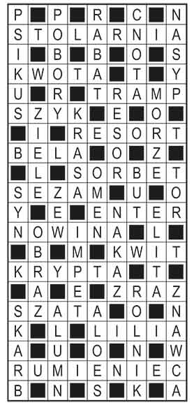 R_im_51_s31_szyfrpion