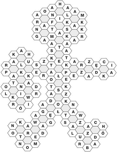 R_CC_51_55_MIKO┼üAJ