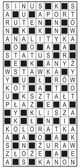 R_im_01_s19_szyfrpion