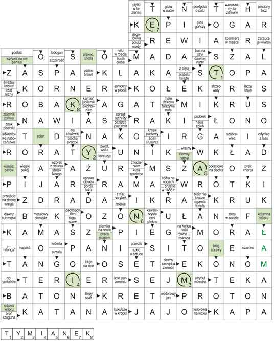 R_CC_52_33_pan_S┼üOWO