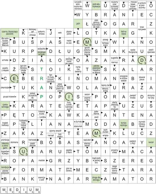 R_CC_02_33_S┼üOWO