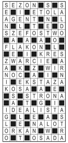 R_im_03_s19_szyfrpion