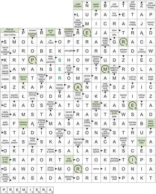 R_CC_03_33_pan_S┼üOWO