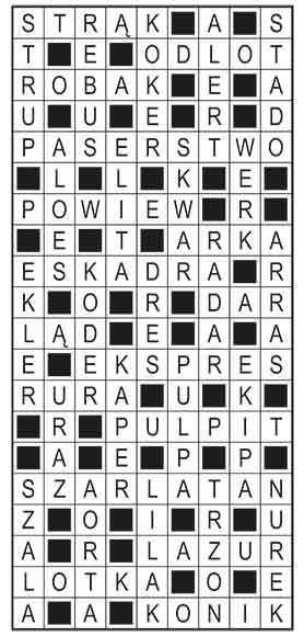 R_im_04_s19_szyfrpion-1