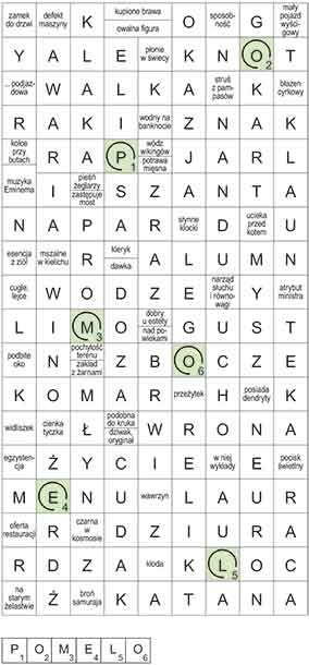 R_CC_04_05_bezstrza┼éek