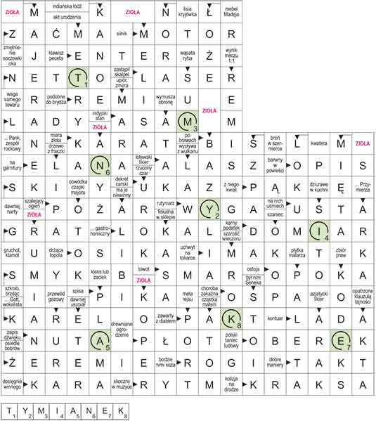 R_CC_04_07_ZIO┼üA