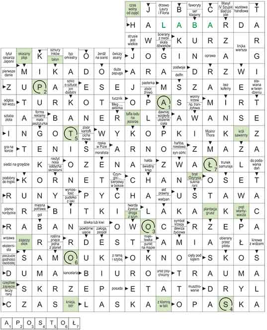 R_CC_04_33_S┼üOWO