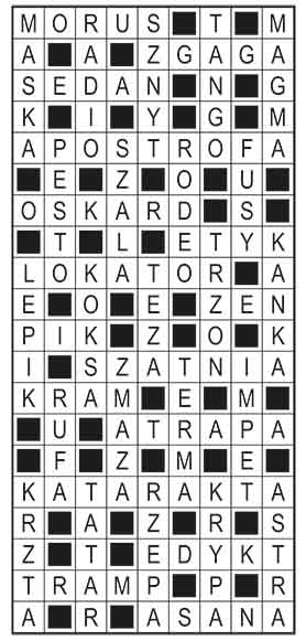 R_im_06_s19_szyfrpion