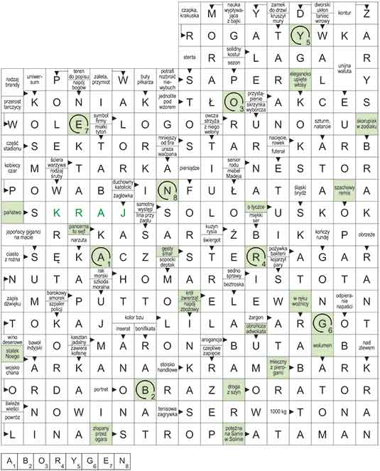 R_CC_06_33_S┼üOWO