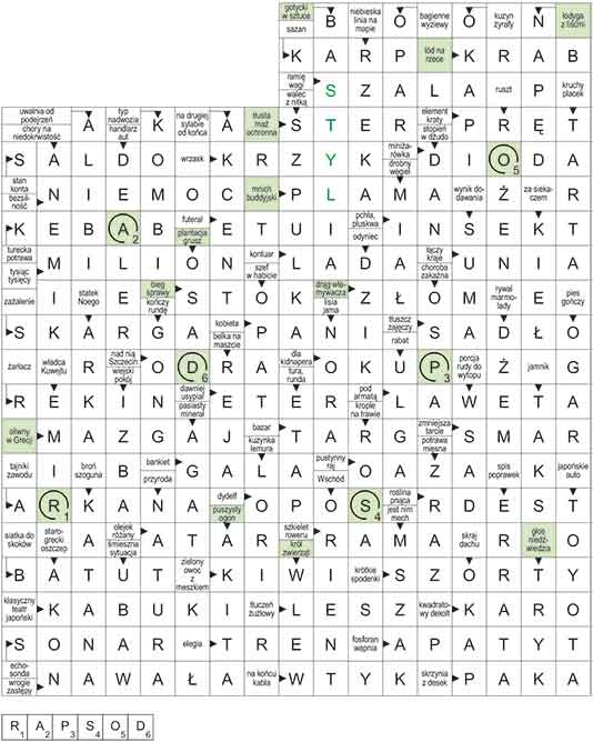 R_CC_07_33_pan_S┼üOWO