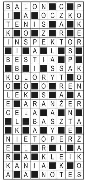 R_im_08_s19_szyfrpion