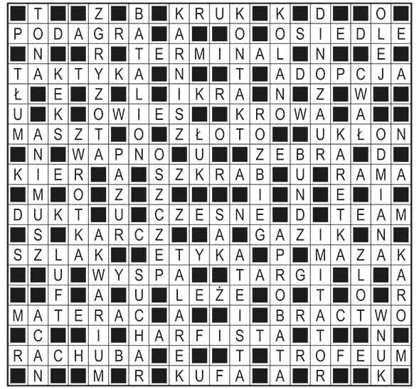 R_im_08_s25_ukladanka