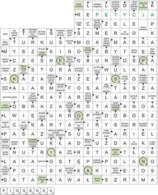 R_CC_08_33_S┼üOWO