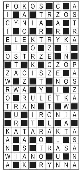 R_im_09_s19_szyfrpion