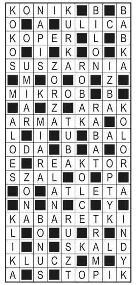 R_im_10_s19_szyfrpion