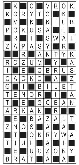 R_im_10_s23_szyfrpion