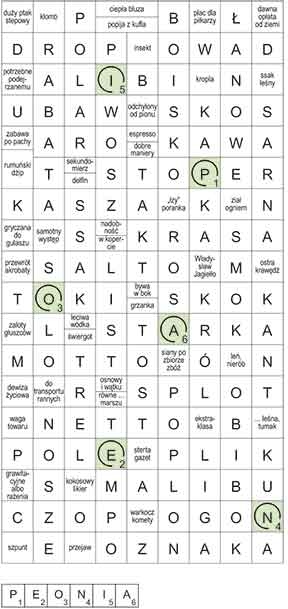 R_CC_10_05_bezstrza┼éek