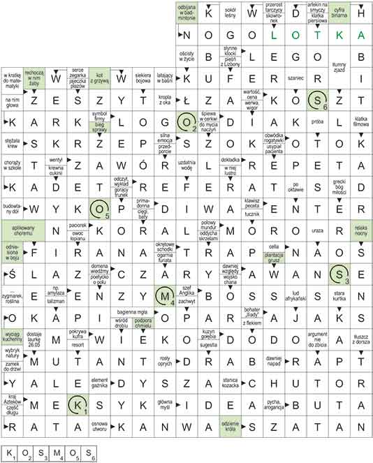 R_CC_10_33_S┼üOWO