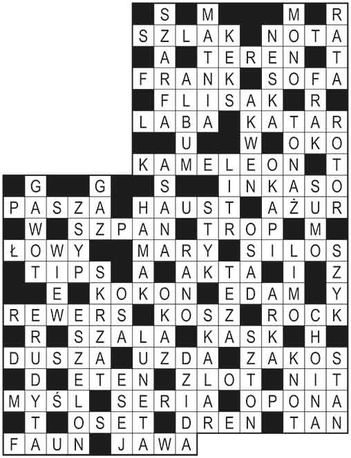 R_im_11_s18_szyfropanorama