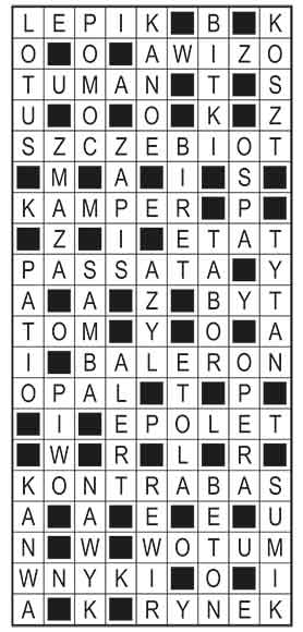 R_im_11_s19_szyfrpion