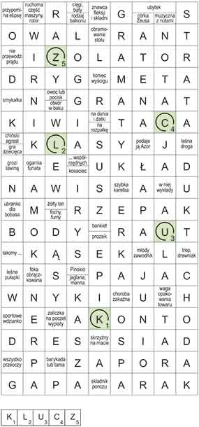 R_CC_11_05_bezstrza┼éek