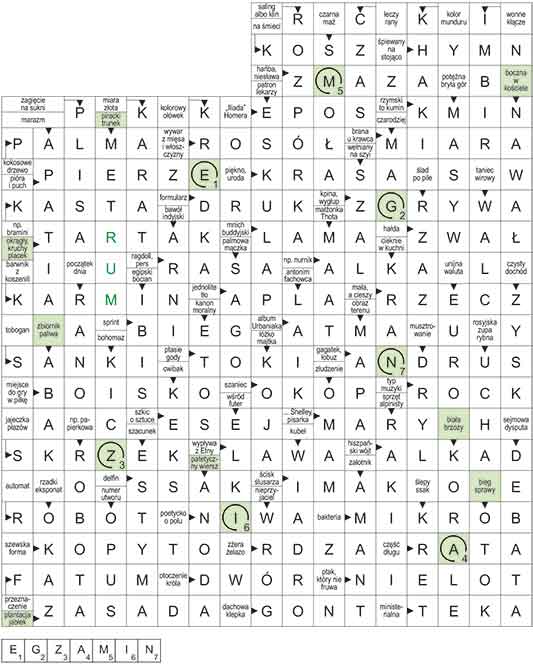 R_CC_11_33_pan_S┼üOWO