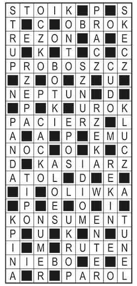 R_im_12_s19_szyfrpion