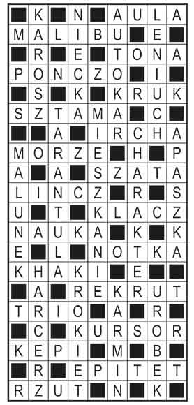 R_im_12_s27_szyfrpion