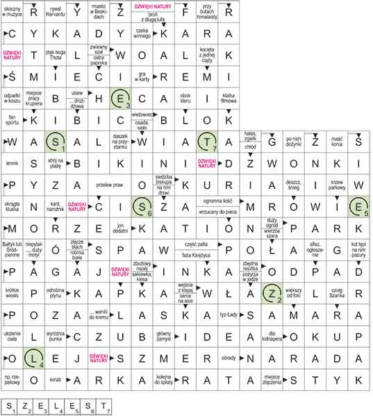 R_CC_12_07_DZ╠üWIE╠ĘKI_NATURY